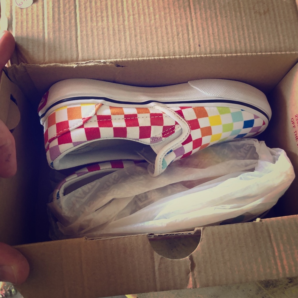 Vans rainbow checkered slip on’s